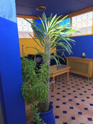 Riad Le Nid Bleu Chambres d'hôtes Marrakech Marrakesh Extérieur photo